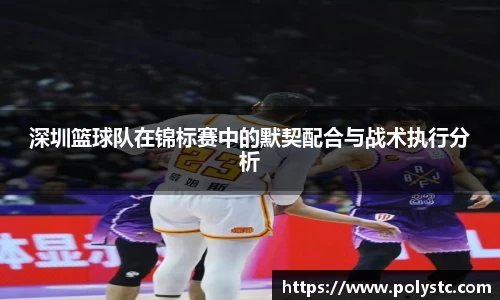深圳篮球队在锦标赛中的默契配合与战术执行分析